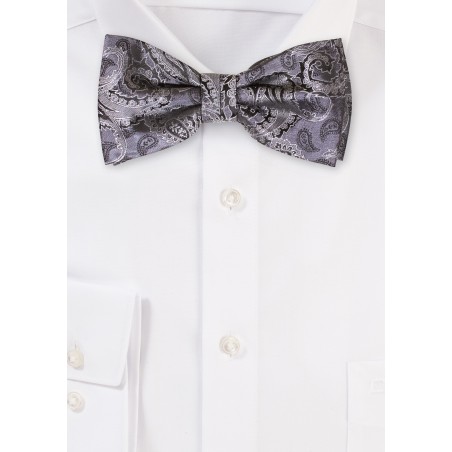 Gray and Silver Paisley Bow Tie