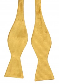 Golden Self-Tie Bow Tie Untied