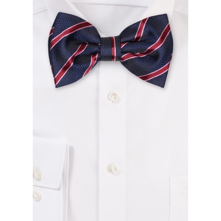 Navy and Wine Red Striped Bowtie