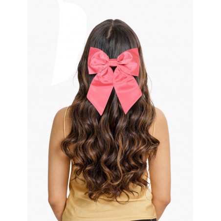 Hair Bow in Parfait Women's Hair Clip