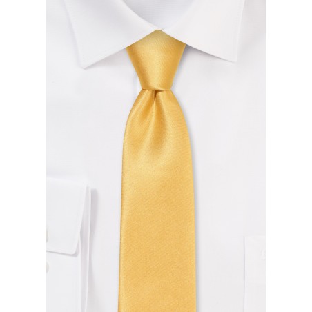 Solid Satin Skinny Tie in Golden