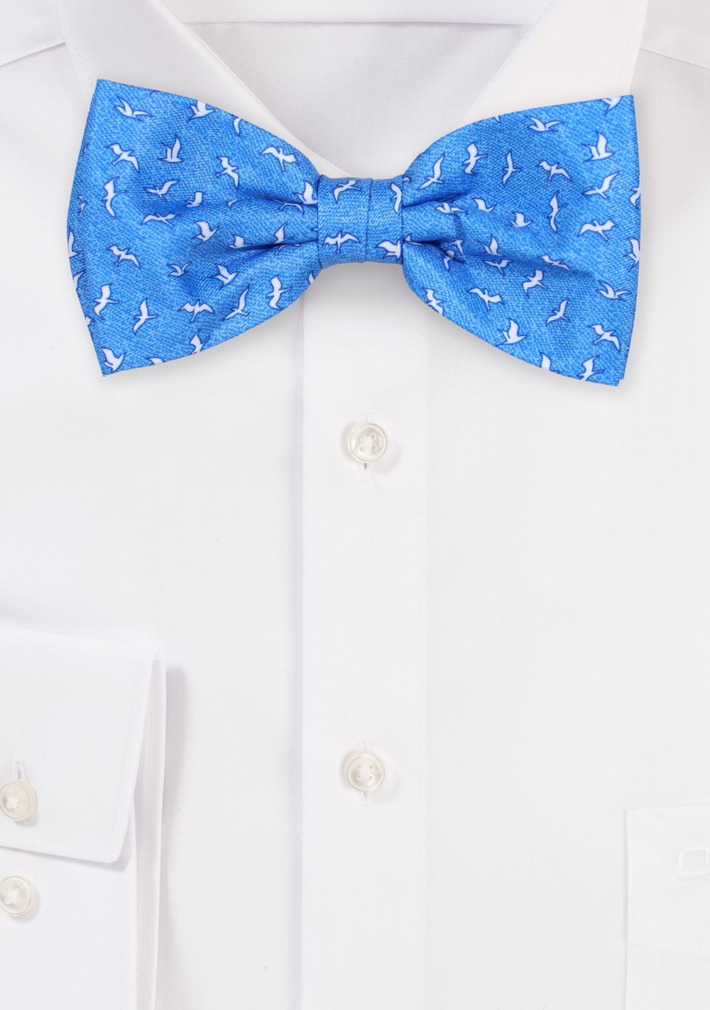 Seagull Print Bow Tie in Sky Blue