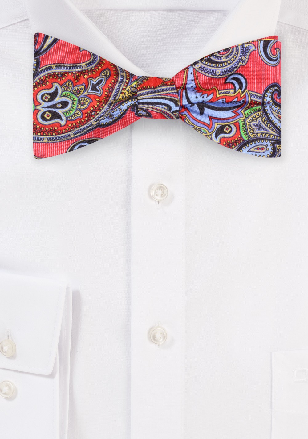 Striped Paisley Silk Bowtie in Red and Blue