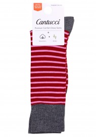 Dress Socks in Gray and Burgundy Stripes Packaging