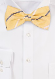 Yellow Colored Bow Tie with Blue Stripes