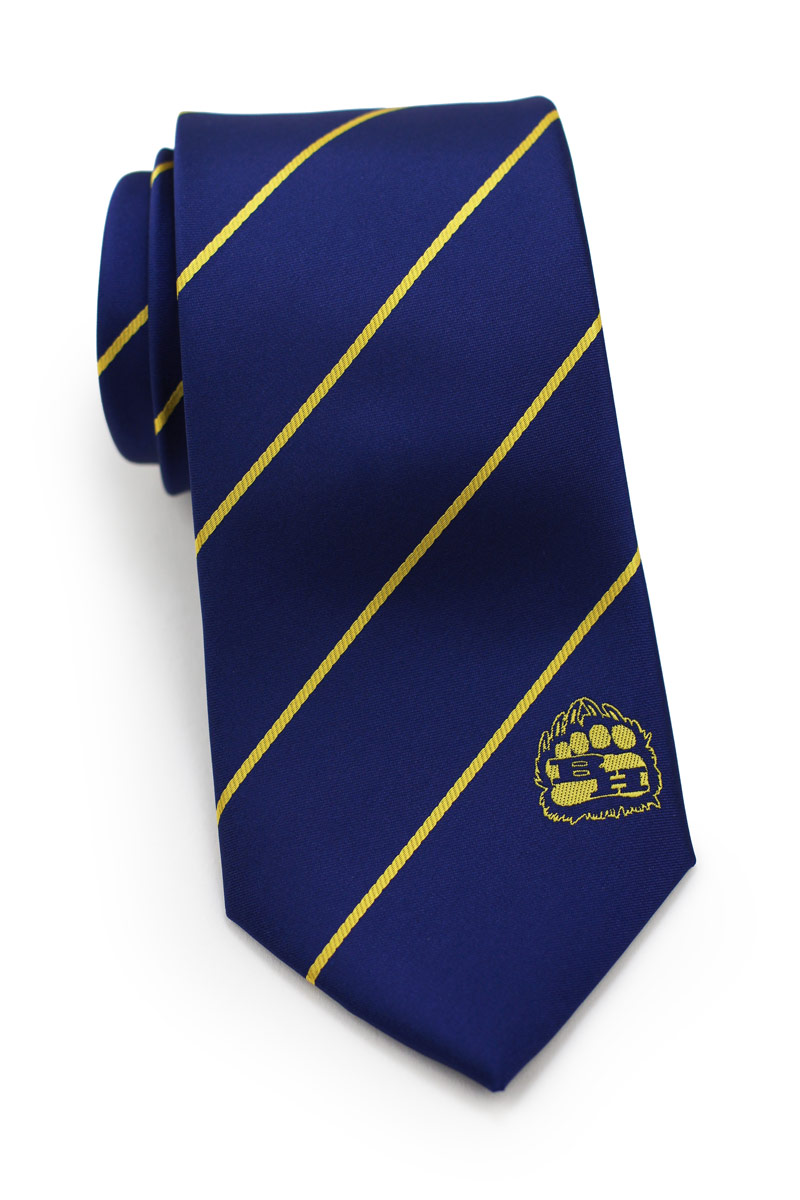 custom striped school uniform ties