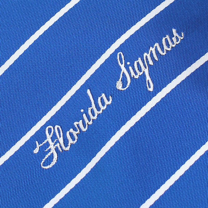 royal blue striped ties with logo and custom embroidery